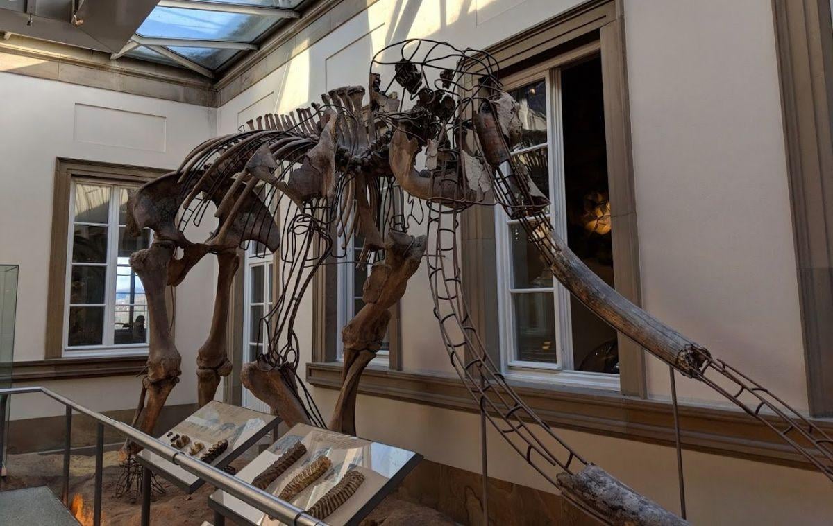 Museo Mercedes-Benz de Stuttgart y vehículos históricos expuestos