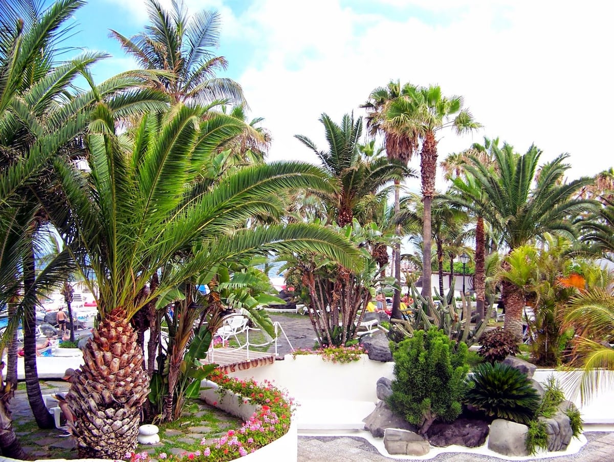 Complejo turístico junto al mar en Tenerife con piscinas y jardines