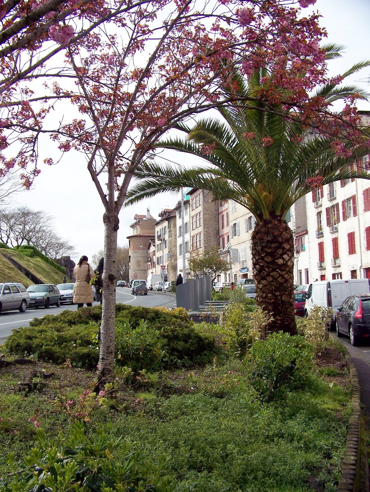 Plaza y edificios históricos del centro de Toulouse