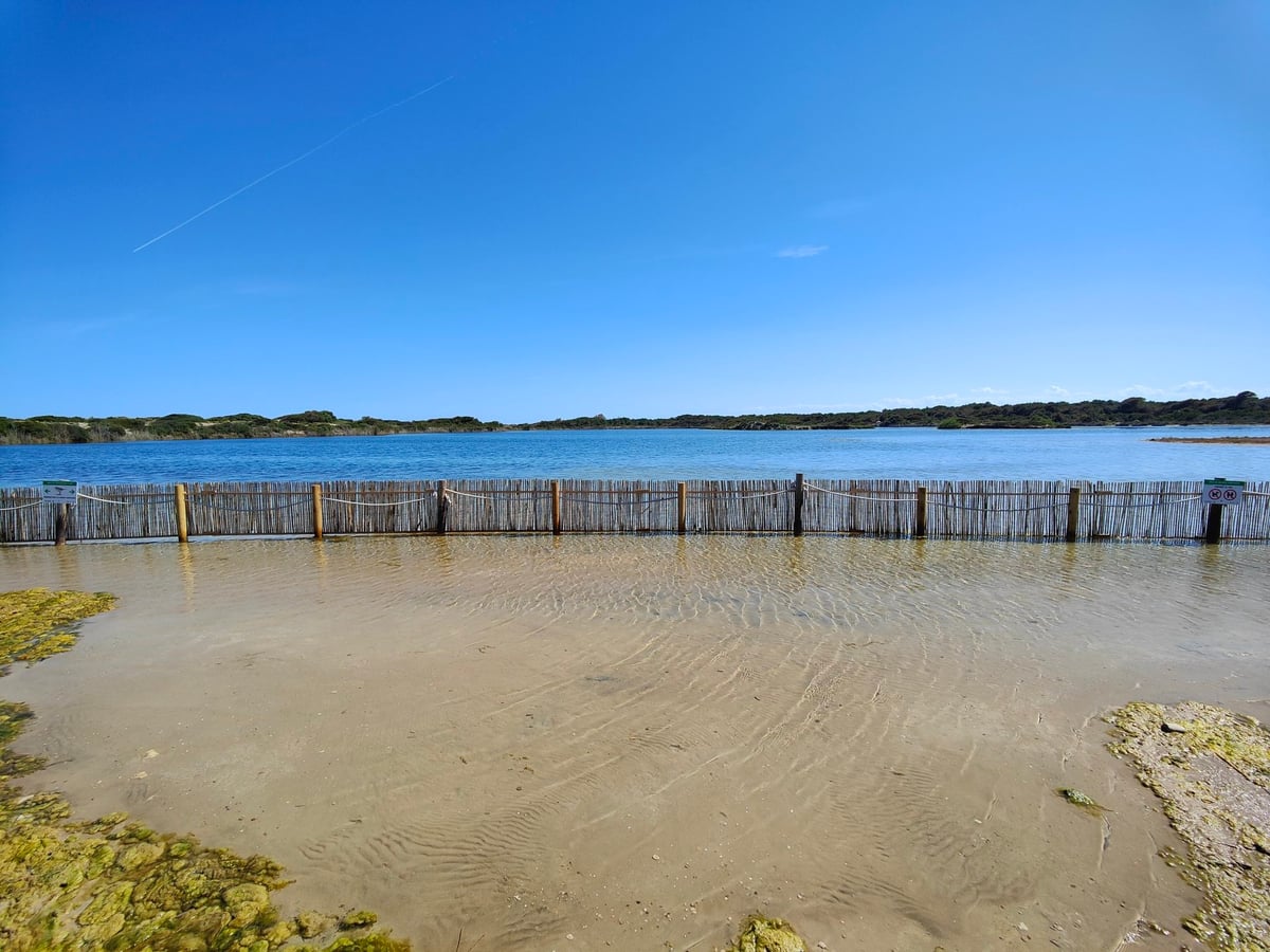 Embarcaderos y paisaje de la Albufera de Valencia