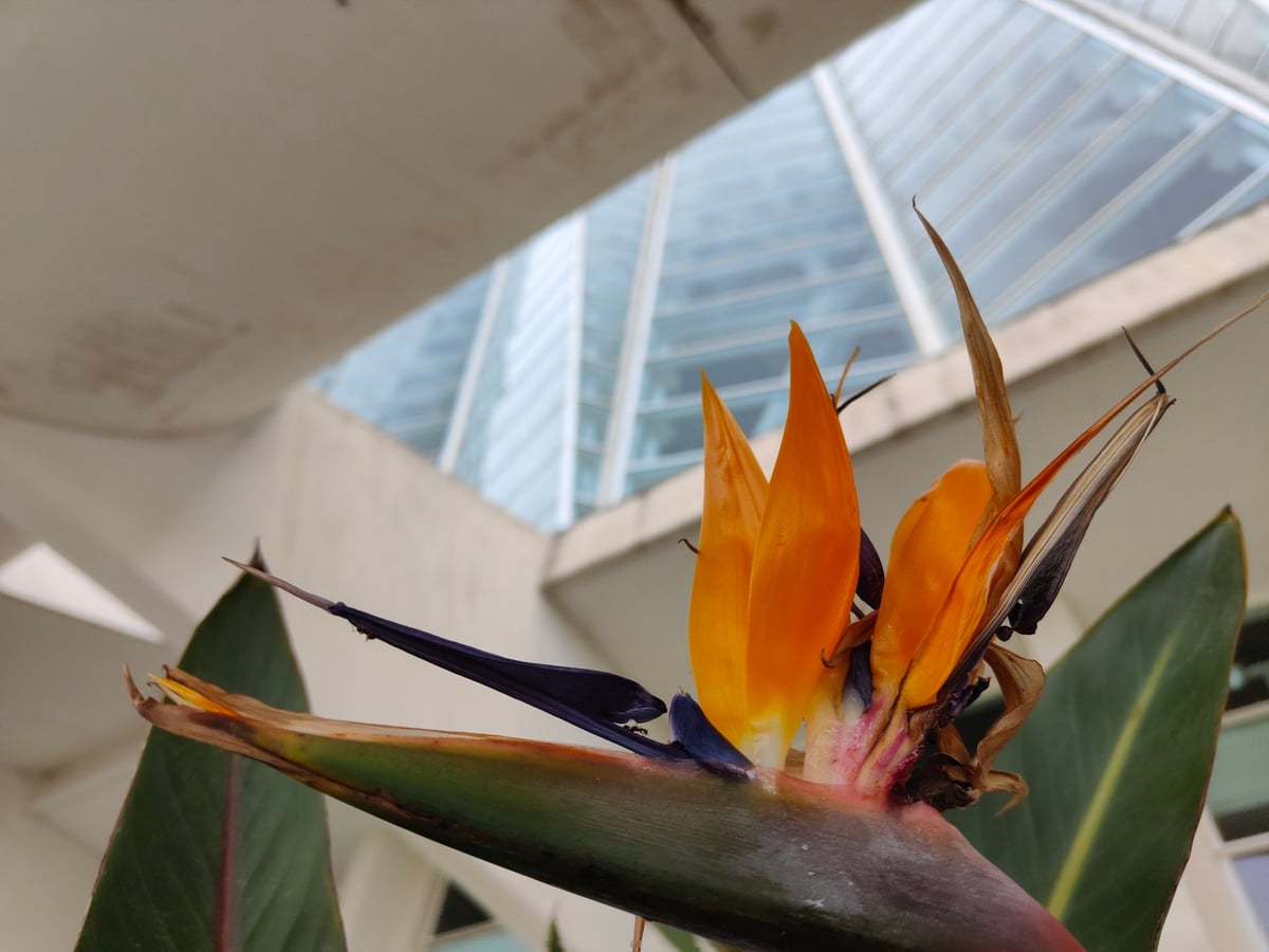 Ciudad de las Artes y las Ciencias de Valencia