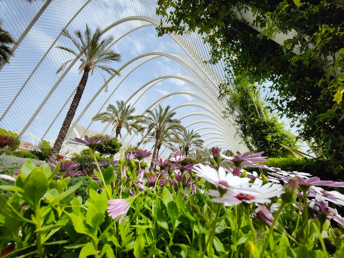 Jardines de la Ciudad de las Artes y las Ciencias de Valencia
