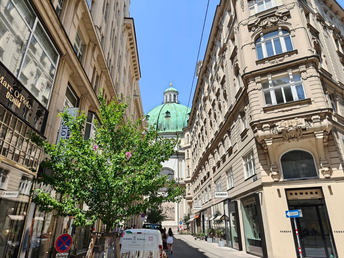 Calles y edificios históricos del centro de Viena