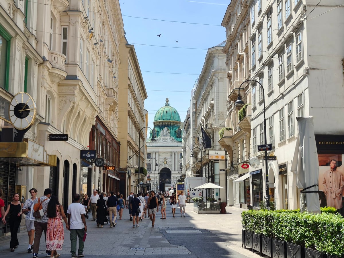 Calles y edificios históricos del centro de Viena